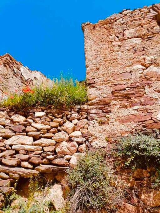 Apartamento Naxos Mountain Retreat - Tiny House Build On Rock Koronos Exterior foto